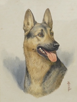 B. Rigby, two watercolours, studies of dogs, a Boxer and an Alsatian, each monogrammed, 40 x 30cm. Condition - foxing throughout